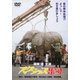 スクラップ集団 (あの頃映画 松竹DVDコレクション 60's Collection) [DVD]