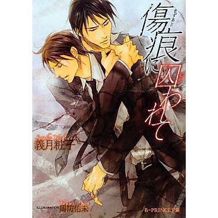 傷痕に囚われて(B-PRINCE文庫) [文庫]