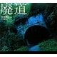 廃道―棄てられし道 [単行本]
