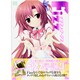 Fizzイラストワークス（MAXムツク PUSH Selected） [ムックその他]