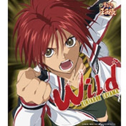 遠山金太郎／Wild