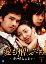 愛も憎しみも～妻と愛人の間で～ DVD-BOX1 [DVD]