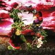 vistlip／B
