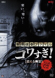 戦慄怪奇ファイル コワすぎ! FILE 02 【震える幽霊】 [DVD]