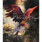 アカショウビン―琉球の紅Ruddy Kingfisher Crimson of Ryukyu [単行本]