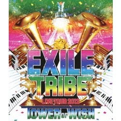EXILE／EXILE TRIBE LIVE TOUR 2012 TOWER OF WISH [Blu-ray Disc]