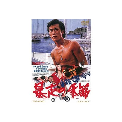暴走の季節 [DVD]