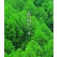 北の国から 4 [Blu-ray Disc]