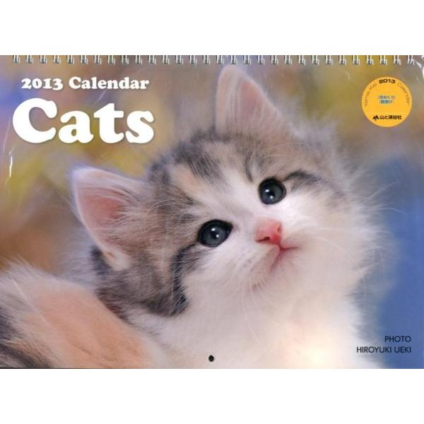 Cats 2013[カレンダー]（Yama-Kei Calendar） [単行本]