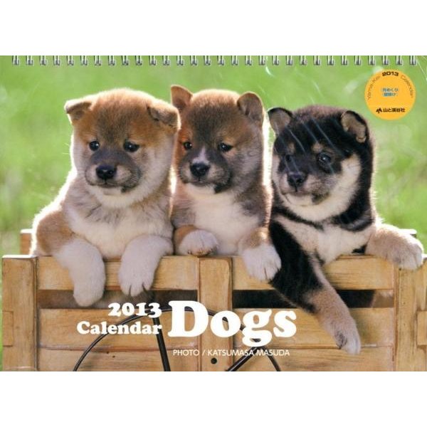 Dogs 2013[カレンダー]（Yama-Kei Calendar） [単行本]