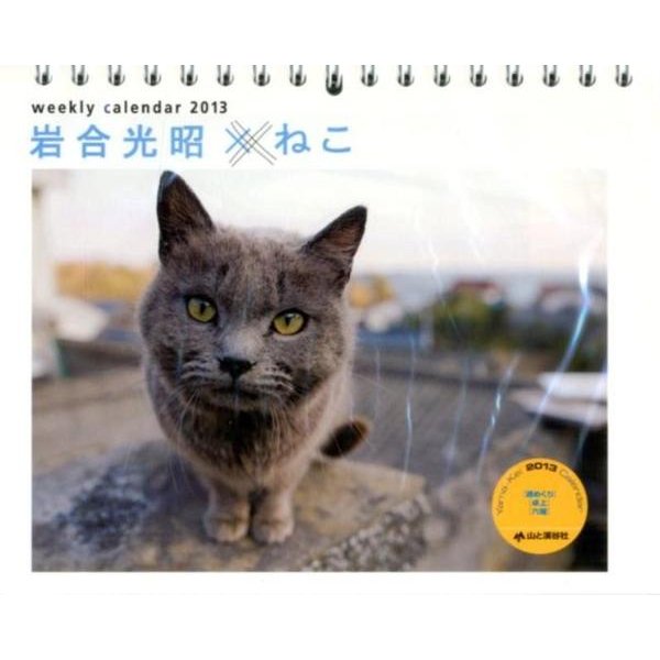 岩合光昭×ねこ 2013[カレンダー]（Yama-Kei Calendar） [単行本]