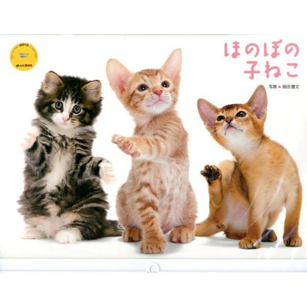 ほのぼの子ねこ 2013[カレンダー]（Yama-Kei Calendar） [単行本]