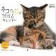 ネコの心が分かるカレンダー 2013（Yama-Kei Calendar） [単行本]