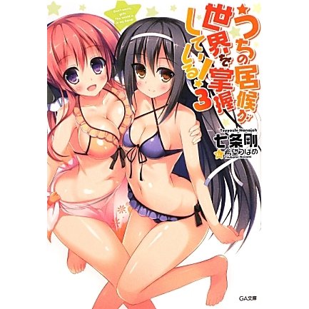 うちの居候が世界を掌握している!〈3〉(GA文庫) [文庫]