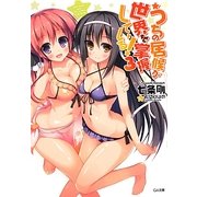 うちの居候が世界を掌握している!〈3〉(GA文庫) [文庫]