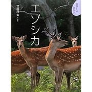 エゾシカ(北国からの動物記〈4〉) [絵本]