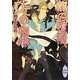 龍の復活、Dr.の咆哮(講談社X文庫―ホワイトハート) [文庫]