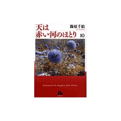 天は赤い河のほとり〔小学館文庫〕<10>(コミック文庫（女性）) [文庫]