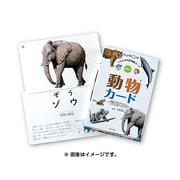 動物カード 第2版－幼児から（くもんの自然図鑑カード） [単行本]