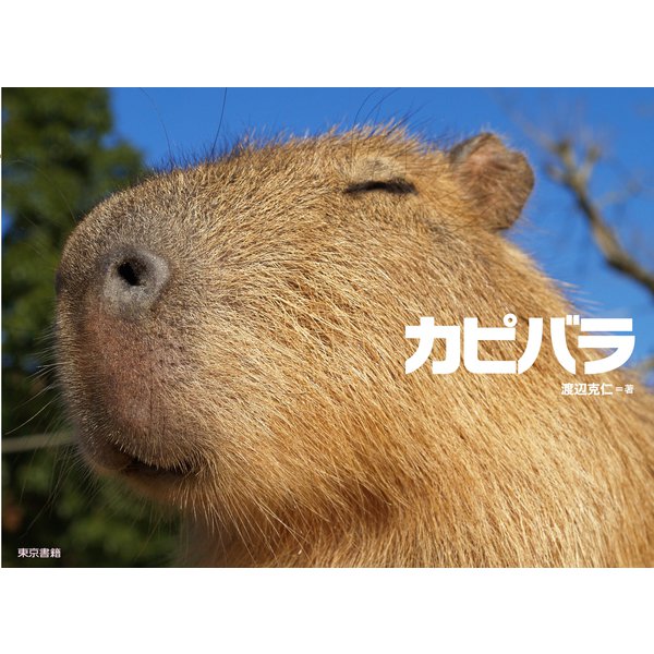 カピバラ [単行本]
