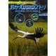 おかえりコウノトリ―水辺を再生しコウノトリを迎える(守ってのこそう!いのちつながる日本の自然〈3〉) [単行本]