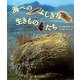 海べのふしぎな生きものたち(ちしきのぽけっと〈2〉) [絵本]