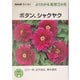 ボタン、シャクヤク(NHK趣味の園芸・よくわかる栽培12か月) [全集叢書]