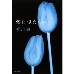 愛に似たもの(集英社文庫) [文庫]