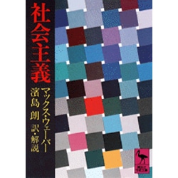 社会主義(講談社学術文庫) [文庫]