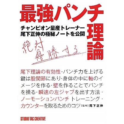 最強パンチ理論 [単行本]