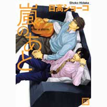 嵐のあと（花音コミックス） [コミック]