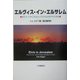 エルヴィス・イン・エルサレム―ポスト・シオニズムとイスラエルのアメリカ化 [単行本]
