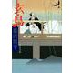 玄鳥(文春文庫) [文庫]