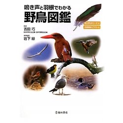 鳴き声と羽根でわかる野鳥図鑑 [単行本]