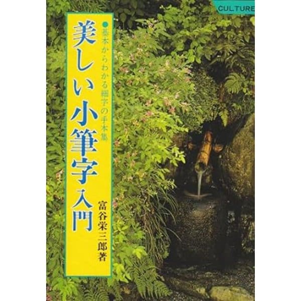 美しい小筆字入門―基本からわかる細字の手本集 [単行本]