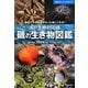 磯の生き物図鑑―磯遊びや海水浴がもっと楽しくなる!海の生物450種(主婦の友ベストBOOKS) [単行本]