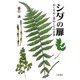 シダの扉―めくるめく葉めくりの世界 [単行本]