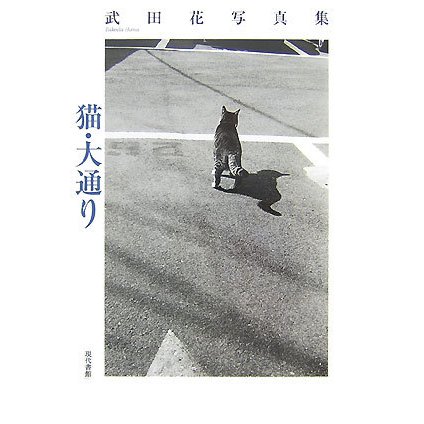 猫・大通り―武田花写真集 [単行本]