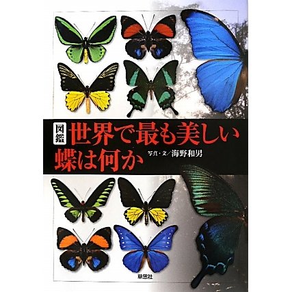 図鑑 世界で最も美しい蝶は何か [単行本]