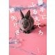 勝手にふるえてろ(文春文庫) [文庫]