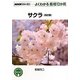 サクラ 改訂版 (NHK趣味の園芸 よくわかる栽培12か月) [全集叢書]