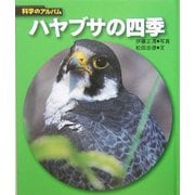 ハヤブサの四季 新装版 (科学のアルバム) [全集叢書]