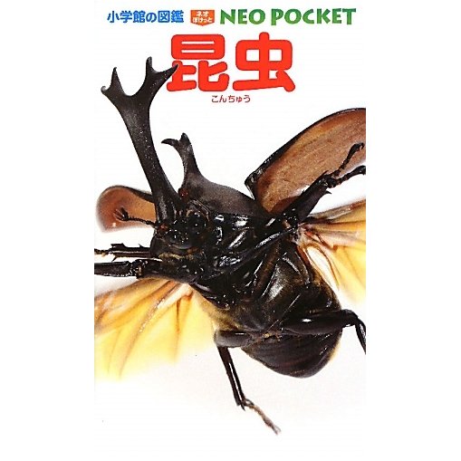 昆虫(小学館の図鑑NEO POCKET〈1〉) [図鑑]