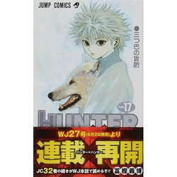 HUNTER×HUNTER 17(ジャンプコミックス) [コミック]