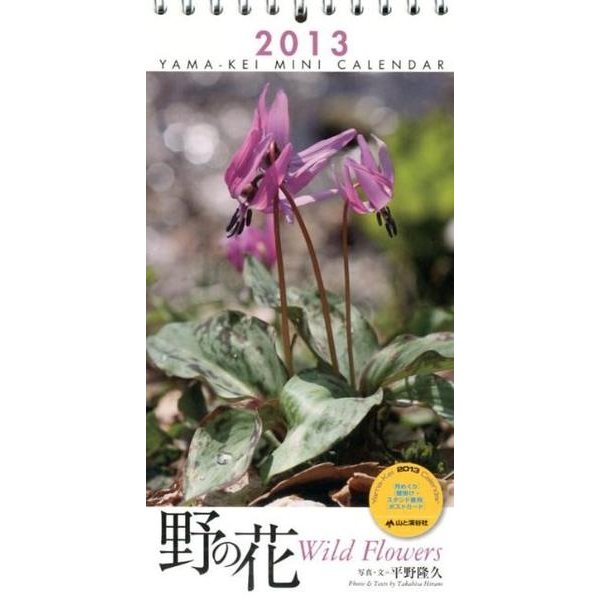 野の花 2013[カレンダー] [単行本]