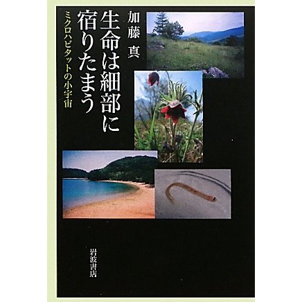 生命は細部に宿りたまう―ミクロハビタットの小宇宙 [単行本]