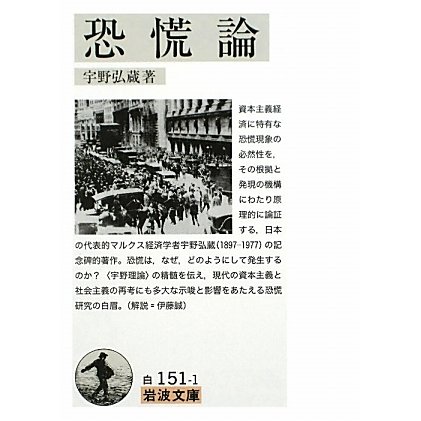 恐慌論(岩波文庫) [文庫]