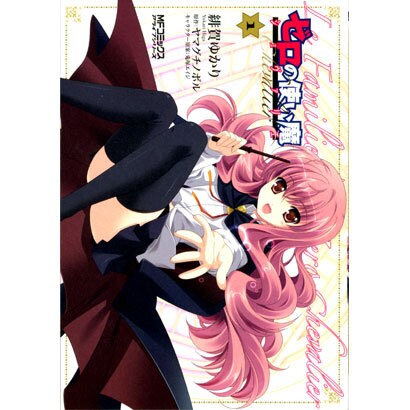 ゼロの使い魔　シュヴァリエ　１(MFコミックス アライブシリーズ) [コミック]