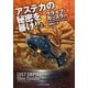アステカの秘密を暴け!〈上〉(ソフトバンク文庫NV) [文庫]