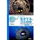 どっこい生きてる、ゴミの中－たくましい海の魚たち（「生きもの摩訶ふしぎ図鑑」シリーズ） [単行本]